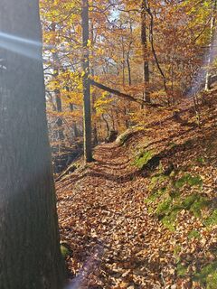 Фото с сайта Björn Heun во время экскурсии