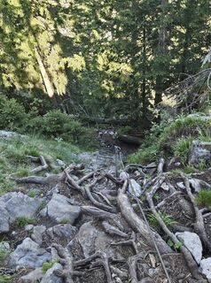 Foto de Gipfel Göre a lo largo del recorrido