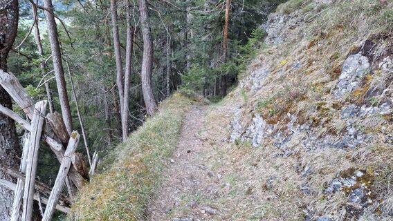 Schön angelegter Steig gleich zu Beginn des Aufstiegs