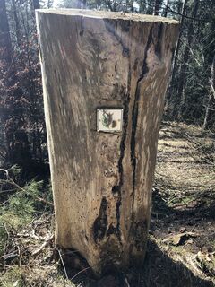 Waldlehrpfad Gerolstein
