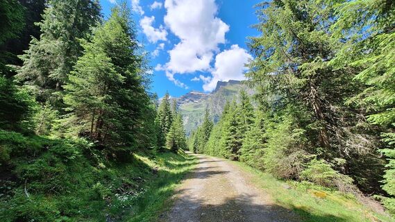 Photo de Monalisa le long du parcours