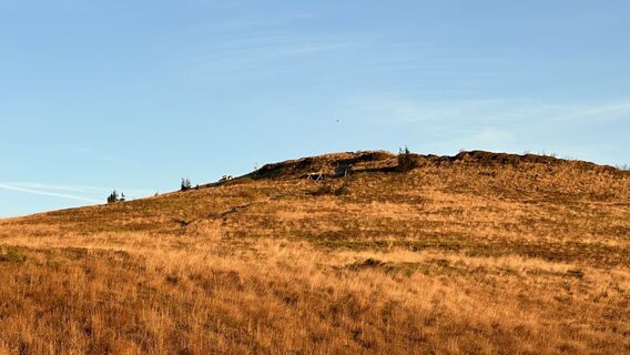 Fotografija s spletne strani Z-Polen na poti