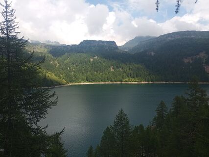 Fotografija s spletne strani mtmc na poti