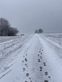 Foto von petermarx6 entlang der Tour