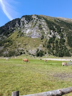 Photo de Manfred Adelsberger le long du parcours