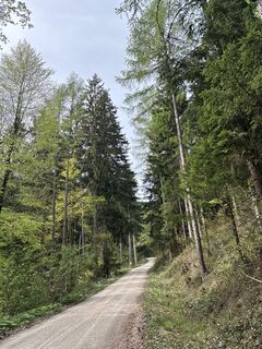 Fotografia z Heinz Sperl na trase