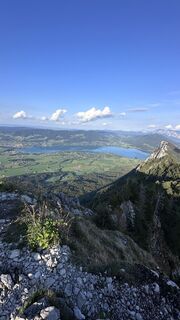Zdjęcie z Mountain Cat ? ⛰️ wzdłuż trasy
