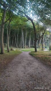 Foto de Julius Piger a lo largo del recorrido