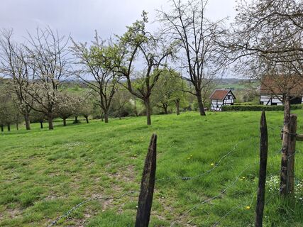 Fotografia z Peter spierenburg na trase