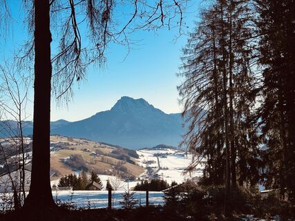 Photo de Manuel Leitner le long du parcours