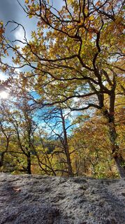 Fotografie z Tina Thommesen na trase