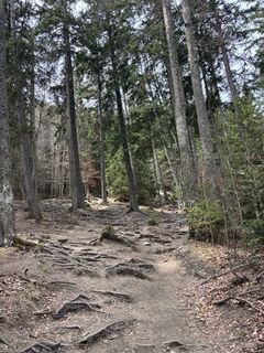 Foto de Zudong Fu a lo largo del recorrido