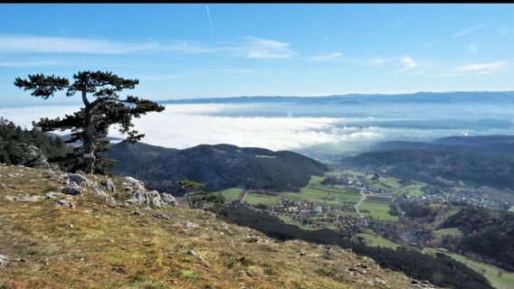 Hohe Wand Gerda