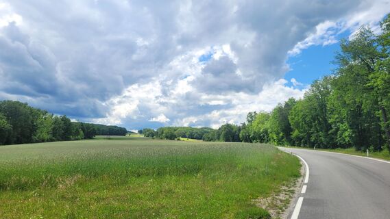 Fotografie z George50 na trase