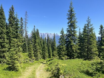 Foto von WolfgangP entlang der Tour