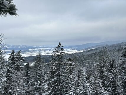 Photo from Christian Bozsoki along the tour