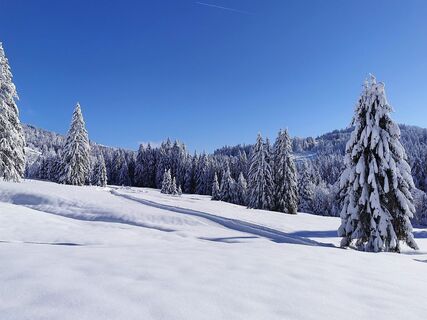 Winterlandschaft in Sibratsgfäll