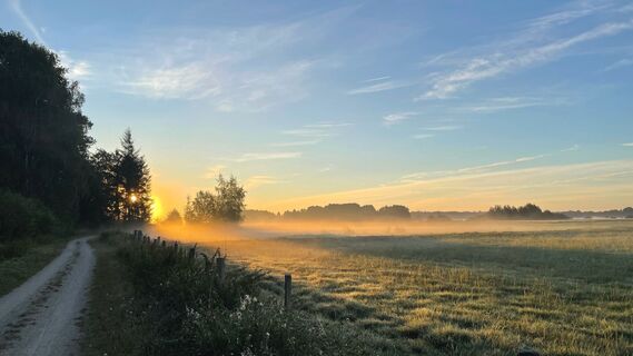 Sonnenaufgang in der Hammeniederung