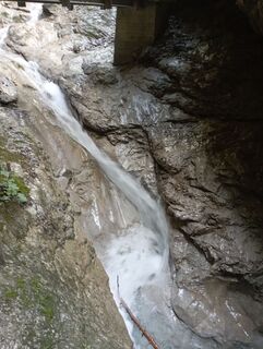 Foto de Schille a lo largo del recorrido