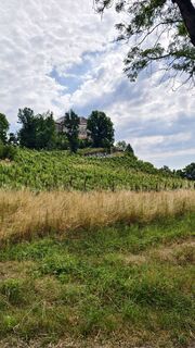 Fotó a AnnJu honlapról a túra során