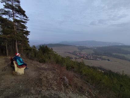 Photo de Stefan Lorchheim le long du parcours
