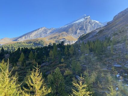Fotografija s spletne strani Dominik Streun na poti