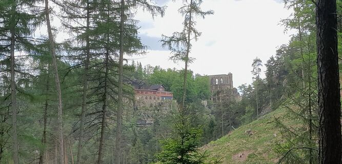 Fotografija s spletne strani Steffen Evi Sacher na poti