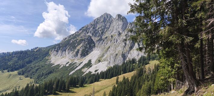 Fotografie z Siegfried Scholz na trase