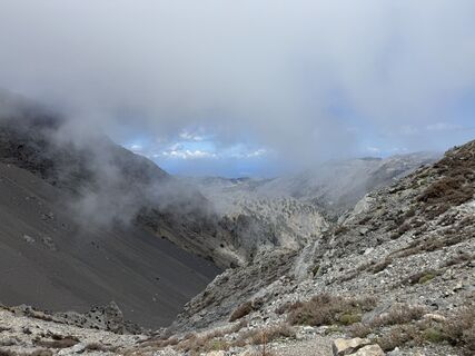 Foto de Xenos a lo largo del recorrido