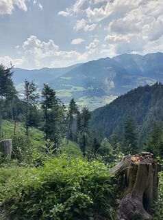 Photo de Michael Hanewinkel le long du parcours