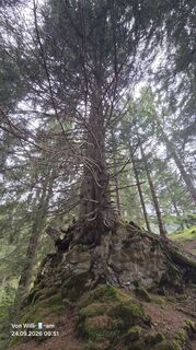Foto von Bergfreund entlang der Tour