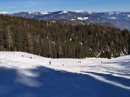 Foto von Daniela König 1 entlang der Tour