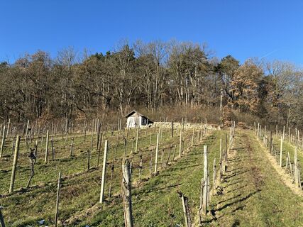 Fotografie z Martin1967 na trase