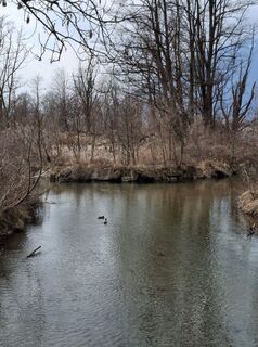 Fotografie z Jacky Blues 1 na trase