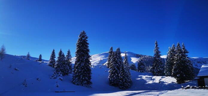 Fotó a Reinsperger honlapról a túra során