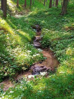Photo de Karol Udvadi le long du parcours