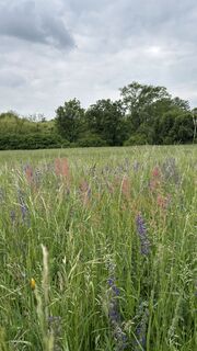 Foto von Wolfgang Ebenhofer entlang der Tour