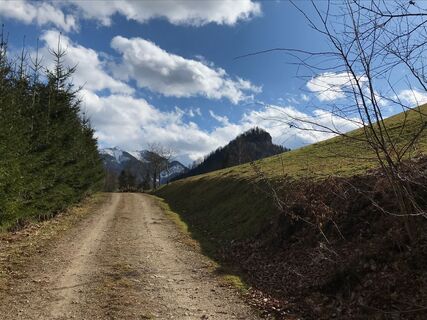 Rotstein-Trail - Großraming