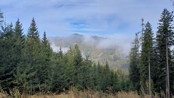 Foto fra Michael T 3 undervejs på turen