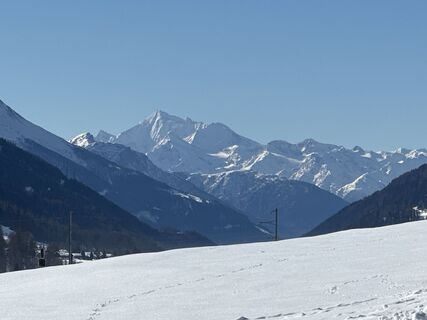 Foto von Zengaffinen Erwin entlang der Tour