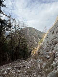 Fotografija s spletne strani Michelle Weissenbacher na poti