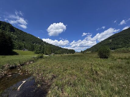 Foto de Friederike Steyrer a lo largo del recorrido
