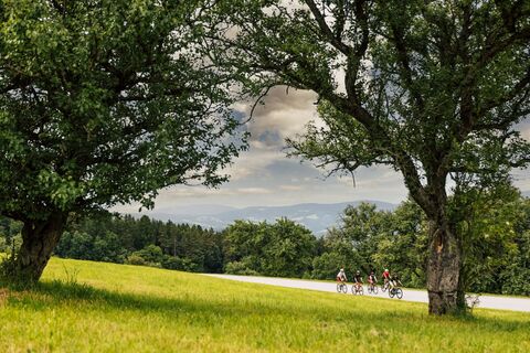 Rennrad Gruppe_Oststeiermark 