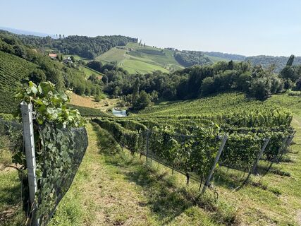 Fotografia z Georg Habermann na trase