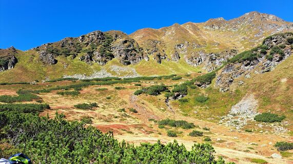 Photo de Anna Wilding le long du parcours