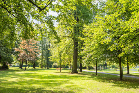 Aupark_NUP Pöllauer Tal_Oststeiermark