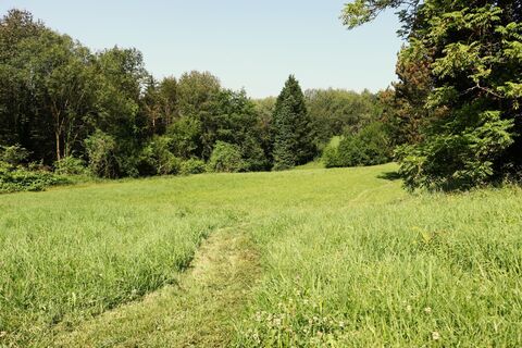 bewegung SEHEN (c) MG Laßnitzhöhe (11).JPG