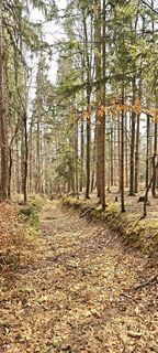 Zdjęcie z Huba Csicsics wzdłuż trasy