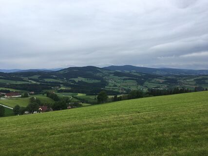 Blichrickrichtung NW Wildnissen/Kreuzwirt