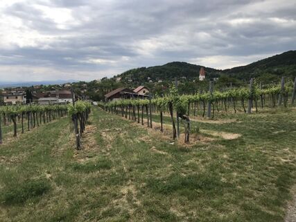 Fotografia z Maxspeed na trase